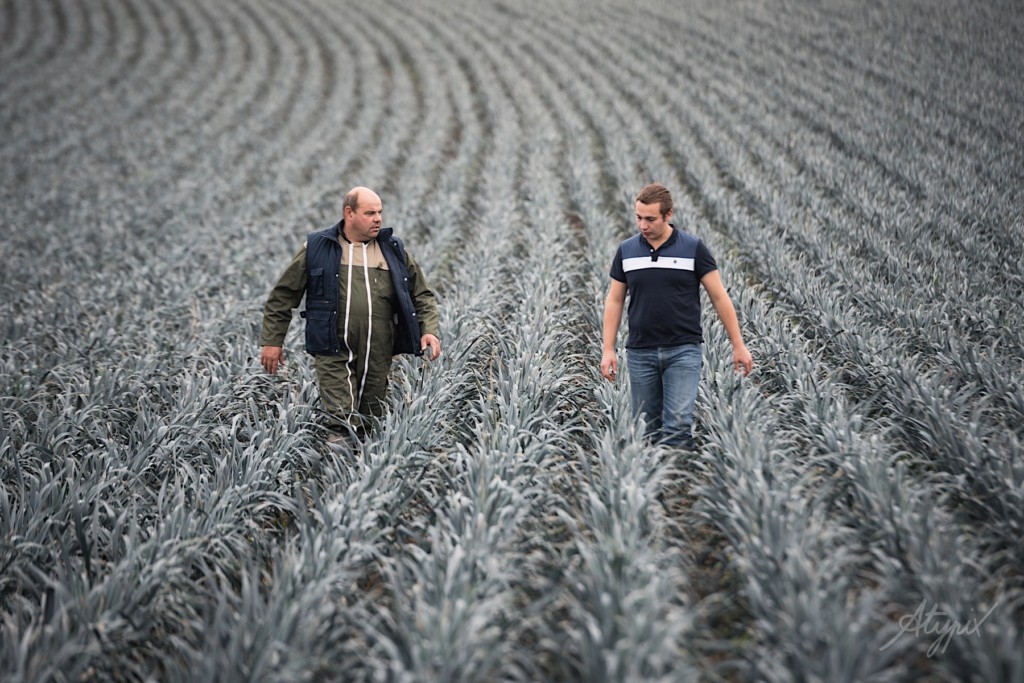 agriculteur champ de poireaux