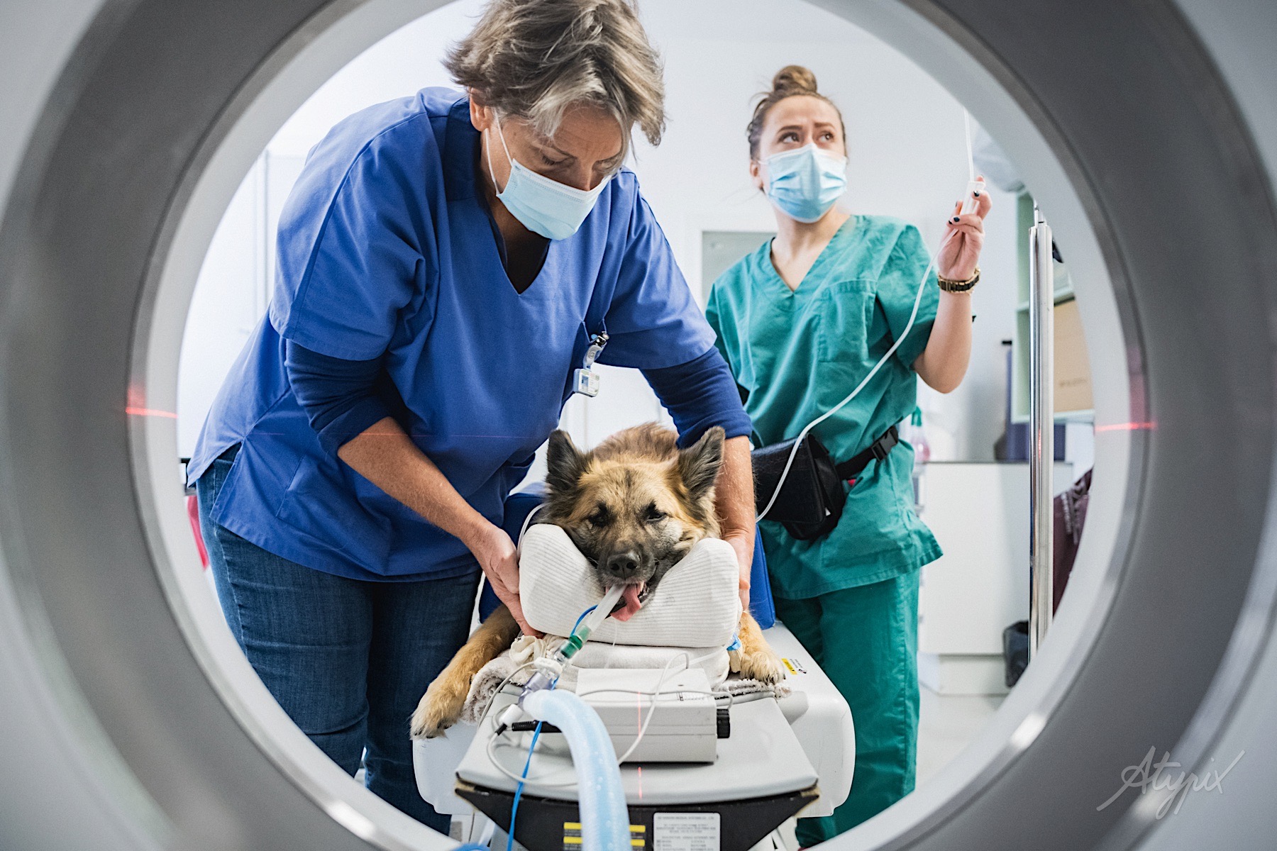 scanner dans une clinique vétérinaire