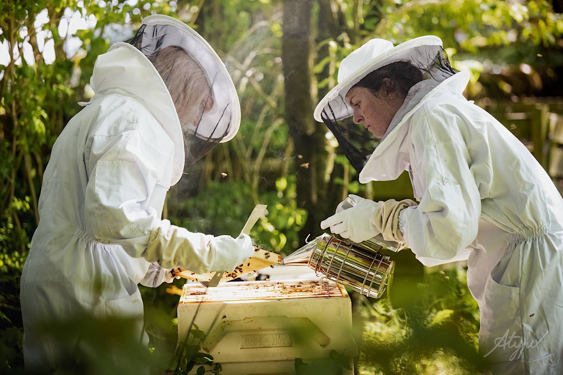 apicultrice en action de travail