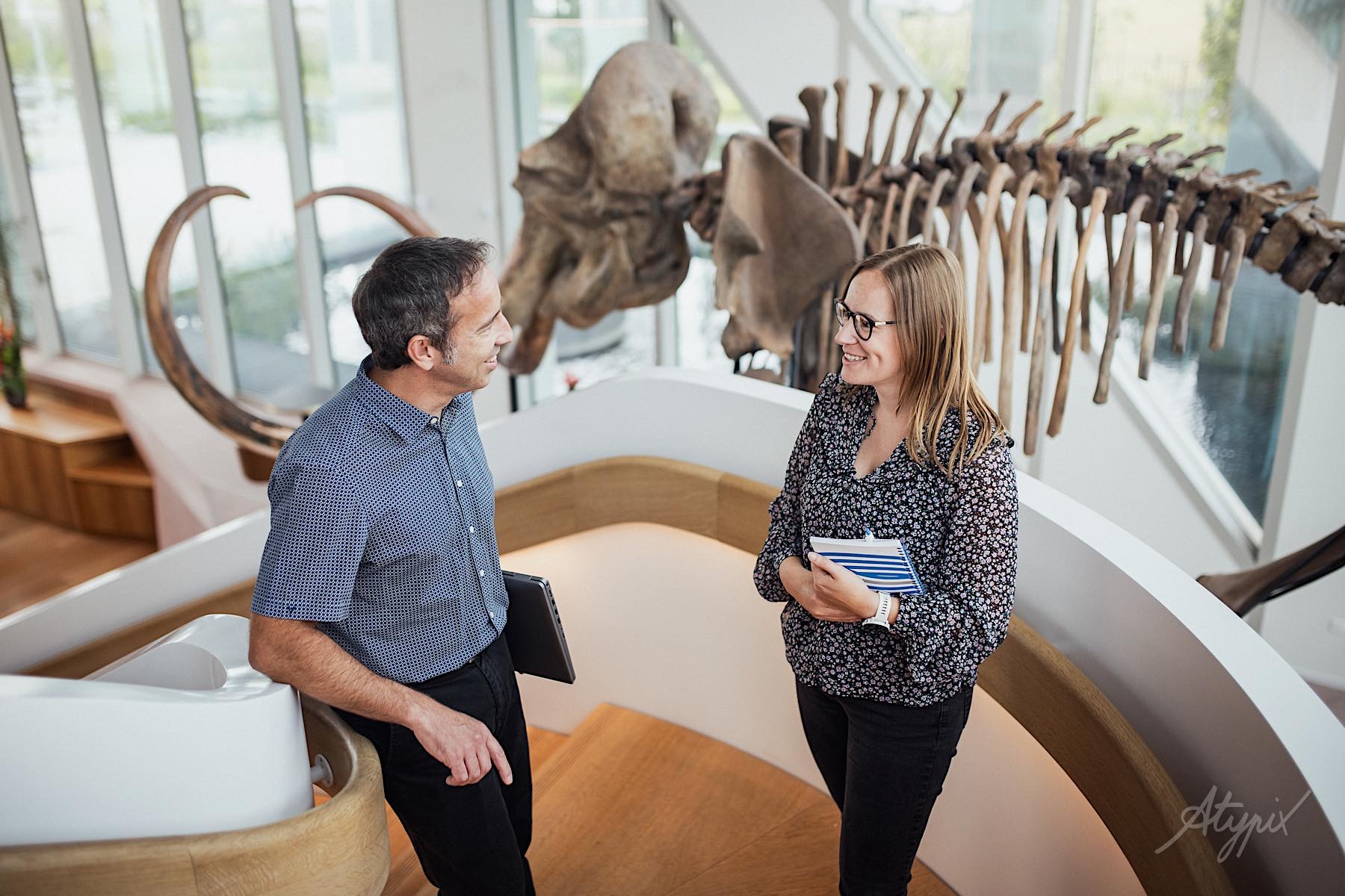 A man and woman are smiling and chatting on a staircase, each holding folders. Behind them is a large dinosaur skeleton exhibit. The background shows large windows with a view of greenery outside.