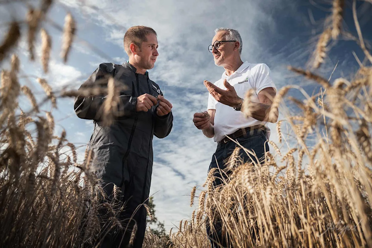 conseiller agronome et client dans un champ de blé